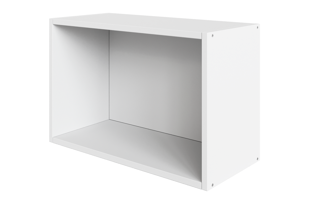 Шкаф-стеллаж торцевой L550 Н360